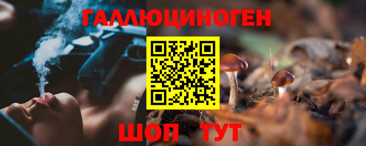 Псилоцибиновые грибы Psilocybine cubensis  Вход с VPN  Волгоград  Псилоцибиновые грибы мухоморы 